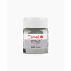 Camel Metallic Powder Silver 5G - Pack of 2