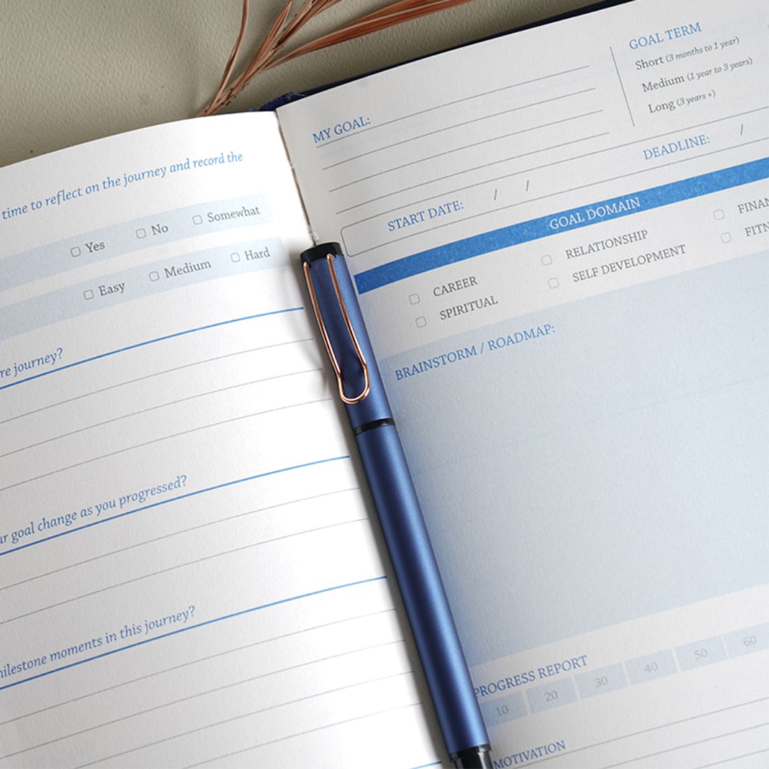 SCHOLAR PREMIUM GOALS JOURNAL PGL2